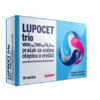 LUPOCET trio ќесички, 10 ќесички